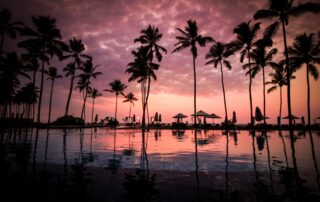 Sunset, Palm Trees, Beach. Hawaii
