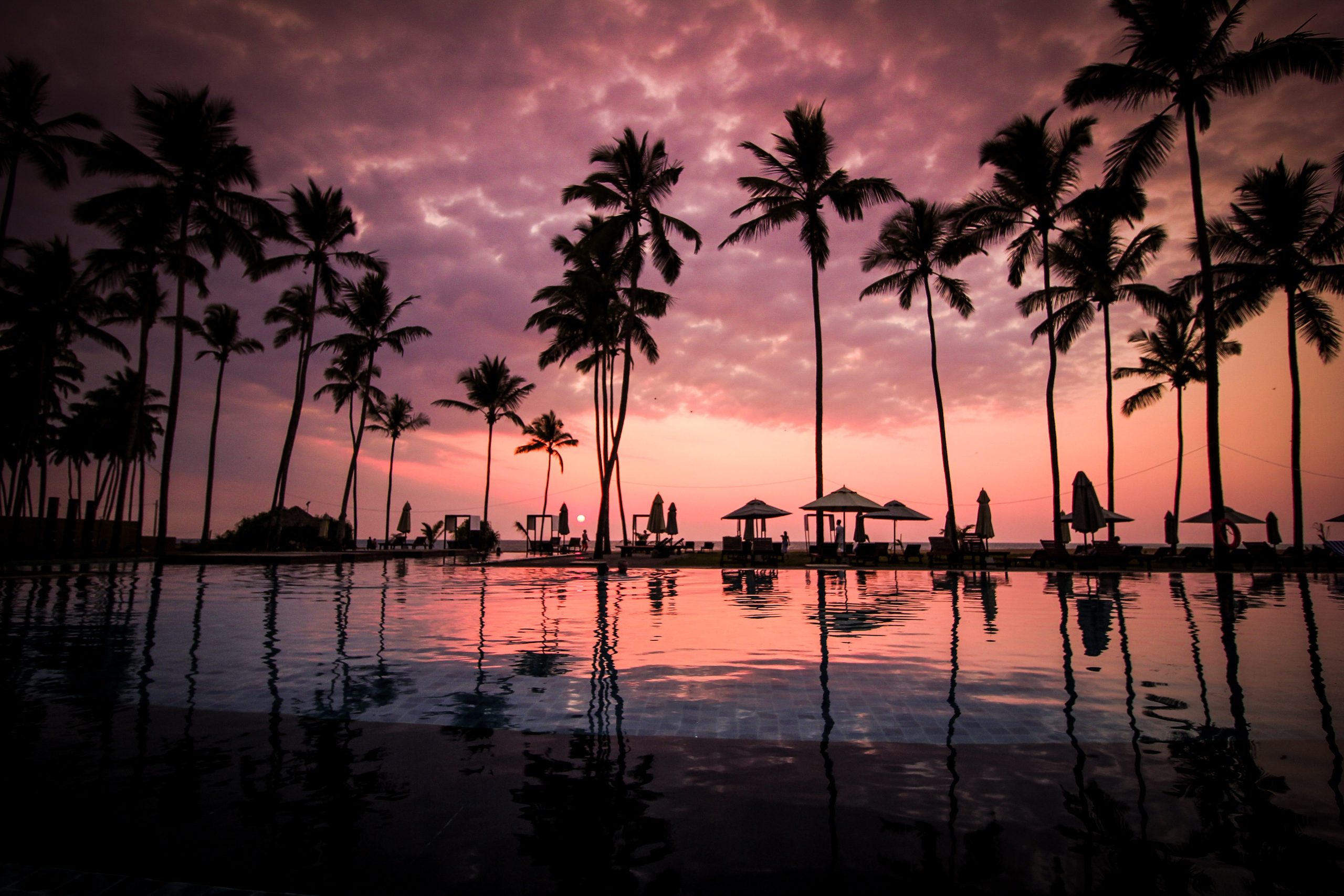 Sunset, Palm Trees, Beach. Hawaii