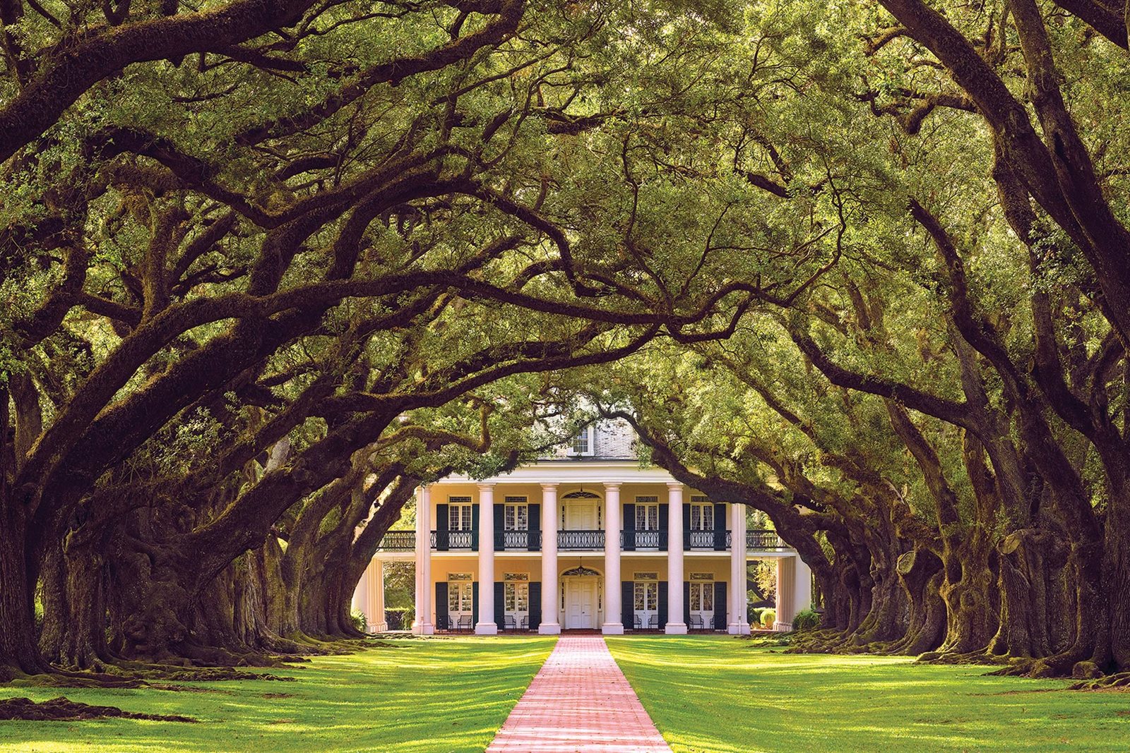 image-8-American-Cruise-Lines-Mississippi-River-Oak-Alley A stunning antebellum mansion framed by a majestic tree-lined avenue of mature oak trees, their