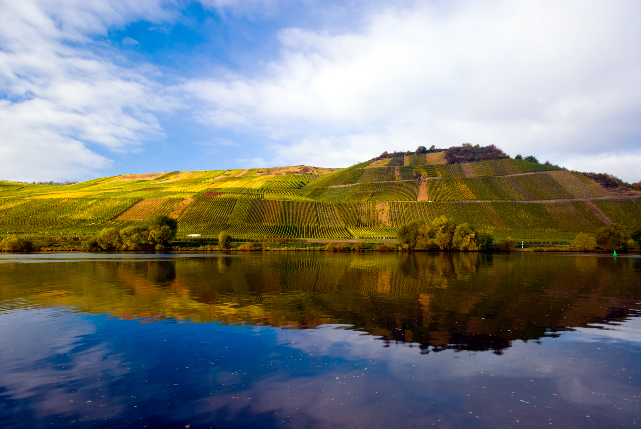 Mosel River, Germany, Vineyards - Europe's Wine Regions by River Cruise