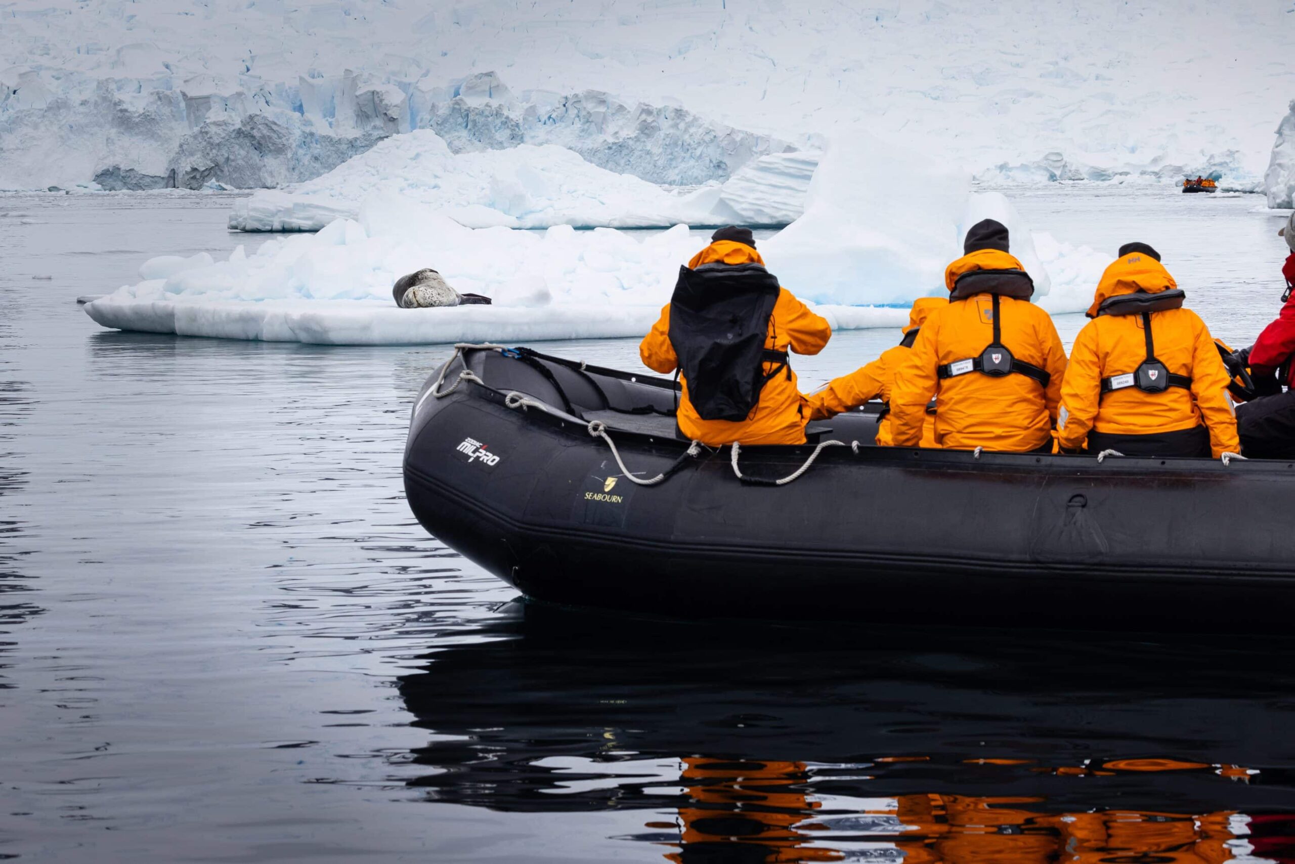 Seabourn Pursuit, Expedition Cruise, Paradise Bay, Antarctica, Leopard Seal, Zodiac