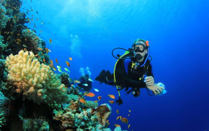 scuba diving solo cruise traveler