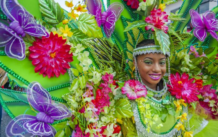 Trinidad Carnival Celebration