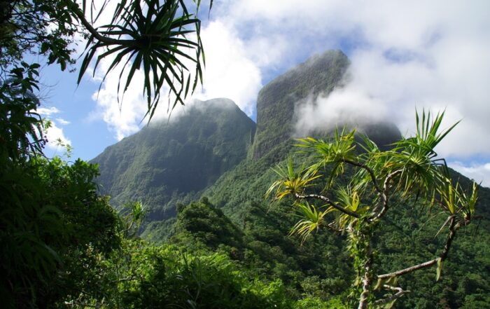 Moorea Jungle and Mountains