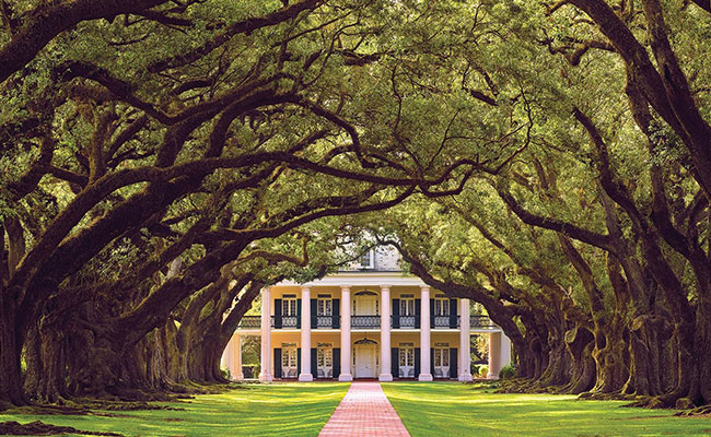 American-Cruise-Lines-Mississippi-River-9