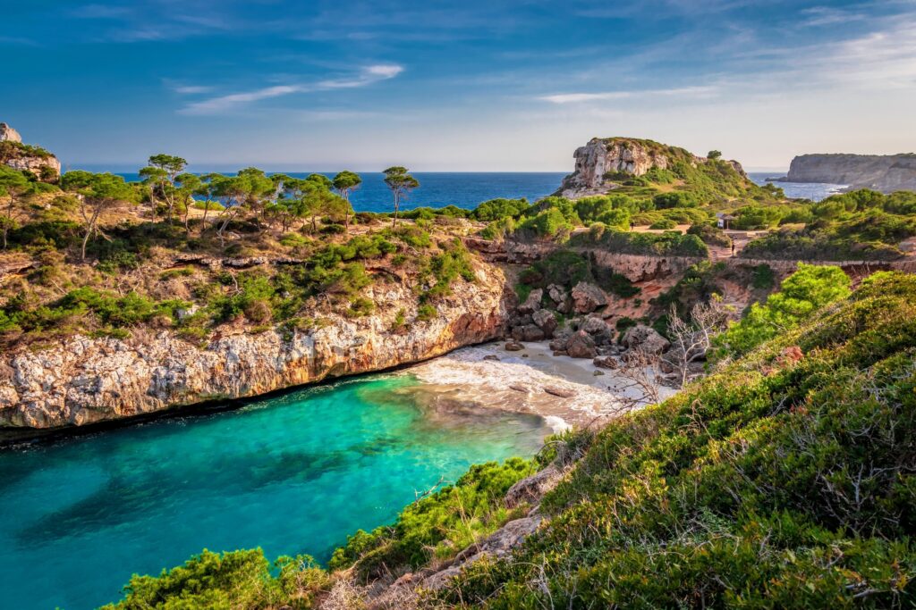 Secluded cove in Mallorca, Spain, with turquoise waters, golden sand, rugged cliffs, and lush green pines under a clear blue sky.