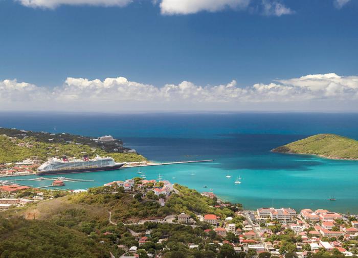 Disney Cruise Line themed dining experience