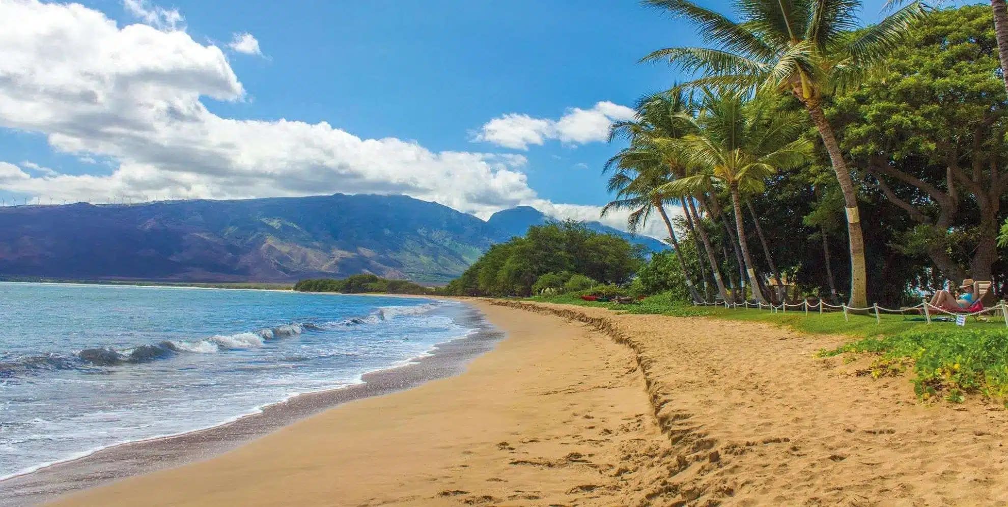 A serene sandy beach lined with swaying palm trees overlooks calm turquoise waters with gentle waves, backed by lush green mountains under a bright blue sky with white clouds. This idyllic tropical destination showcases pristine white sand, native vegetation, and a picturesque West Maui landscape typical of Hawaiian island beauty.