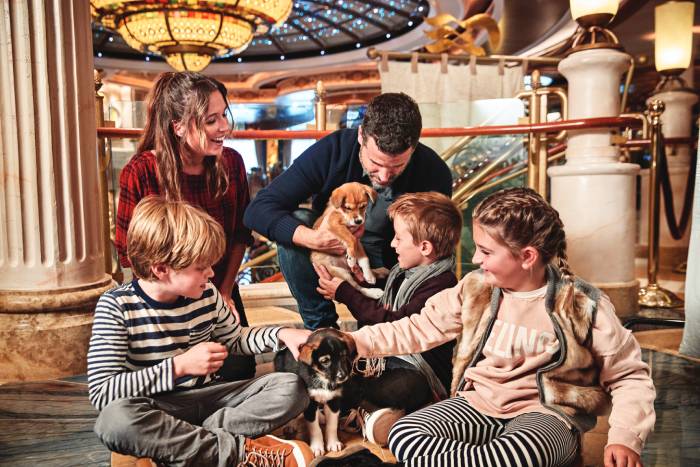 princess-cruises-1 Princess cruise ship sailing at sea