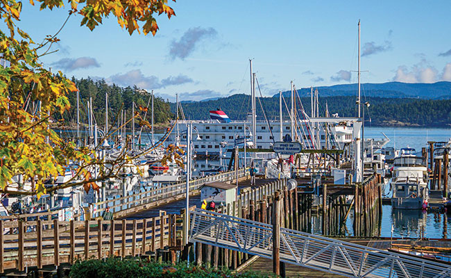 puget-sound-friday-harbor-4