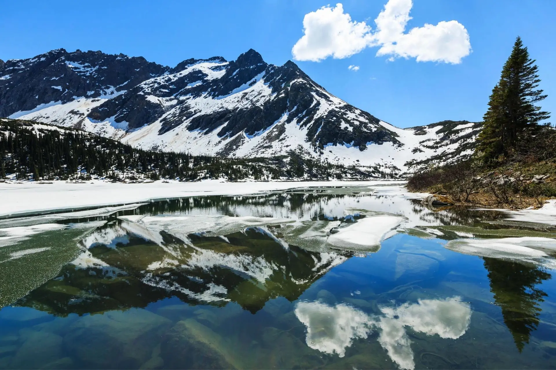 A pristine alpine lake partially frozen with patches of snow and ice, perfectly reflecting majestic snow-capped mountains and a tall evergreen tree in the foreground. The scene captures the transition between winter and spring, with crystal-clear water mirroring the dramatic peak and scattered clouds above, creating a serene wilderness landscape typical of high-elevation mountain regions.
