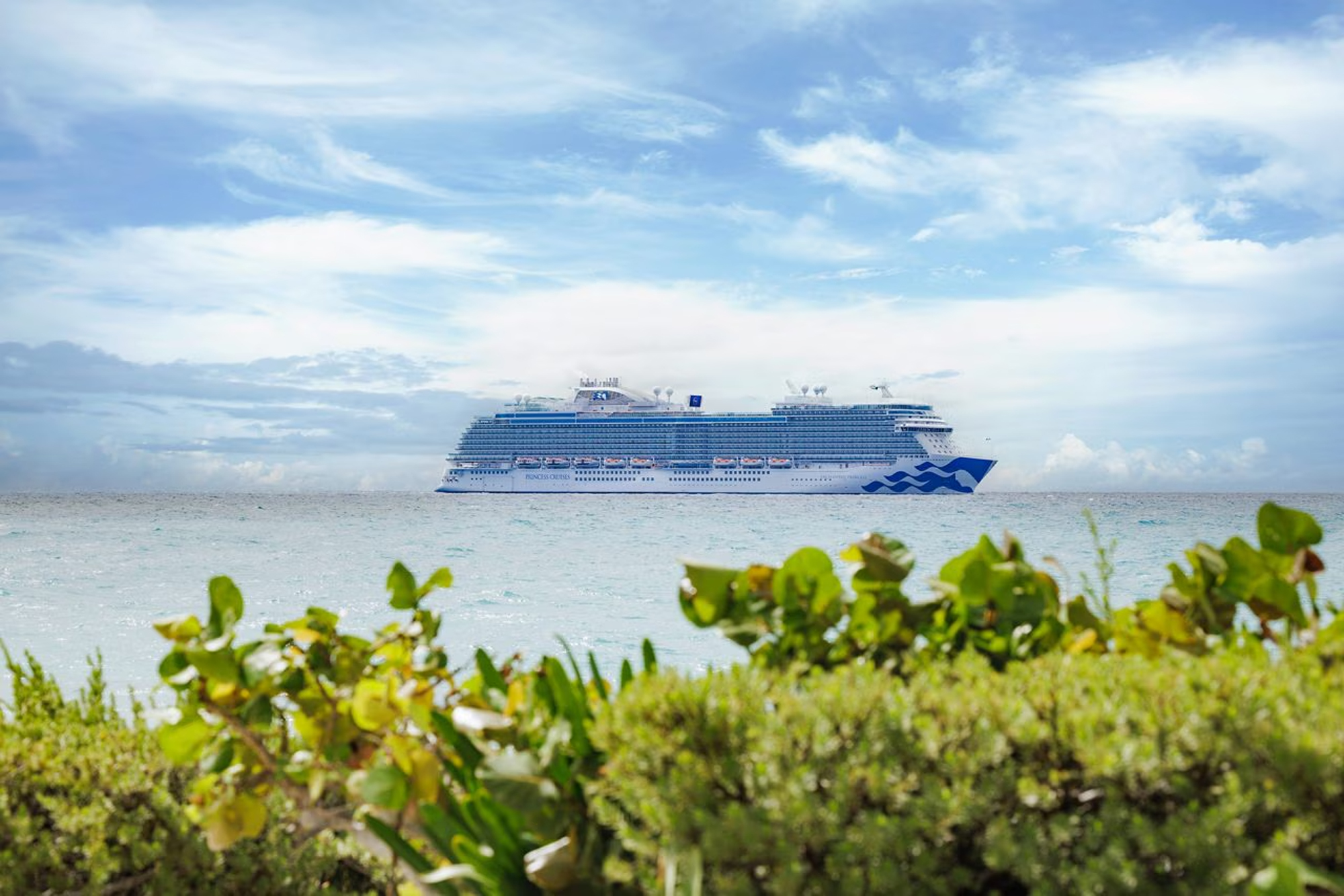 Modern Cruise Ship Anchored Offshore A large modern cruise ship with distinctive blue and white livery is anchored in calm turquoise waters, viewed from a tropical shoreline with coastal vegetation in the foreground. The scene captures the ship in daylight against a partly cloudy sky.