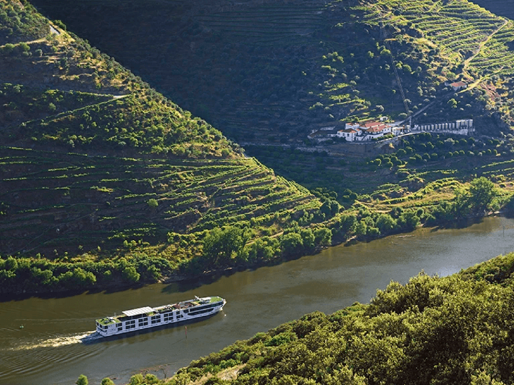 River Cruise in Douro Valley Wine Region A modern river cruise ship navigates the Douro River through the dramatic terraced vineyards of Portugal's Douro Valley, with steep hillsides covered in vine plantations and a winery building visible in the distance. The scenic landscape showcases the region's UNESCO-listed wine-growing terraces and natural beauty.