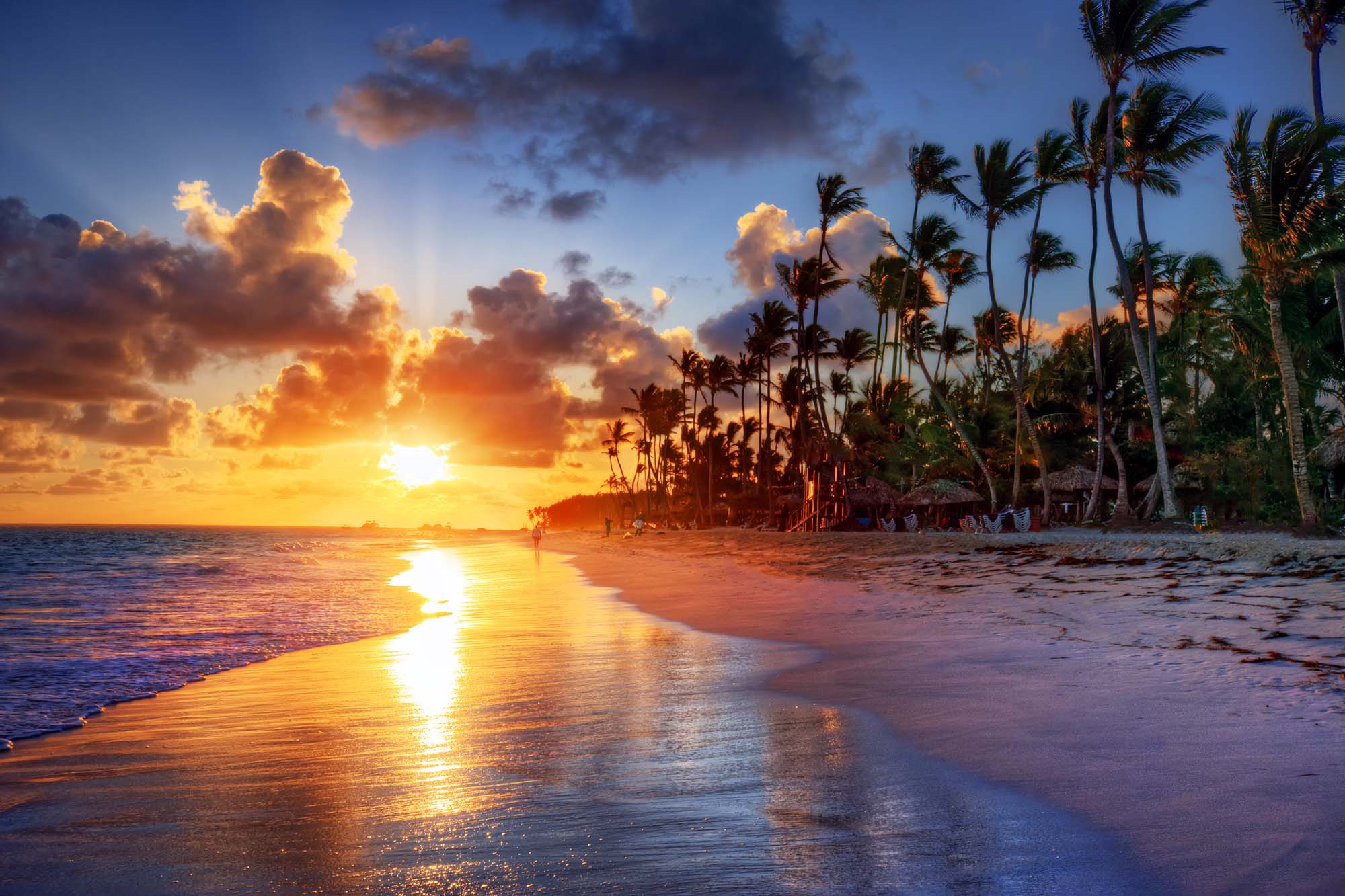 A stunning tropical beach scene at sunrise featuring golden sunlight reflecting off wet sand and shallow water, with tall coconut palm trees silhouetted against a vibrant orange and blue sky dotted with dramatic clouds. The serene shoreline and calm waters create an idyllic vacation destination atmosphere perfect for cruise itineraries.