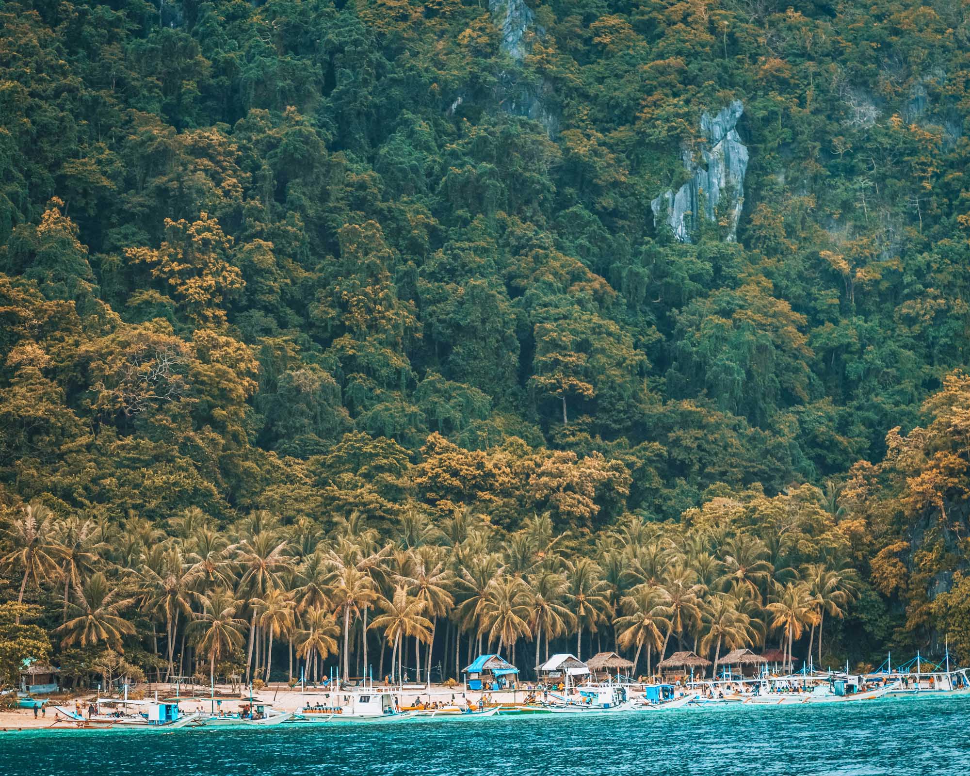 A scenic aerial view of El Nido's pristine beach lined with palm trees and turquoise waters