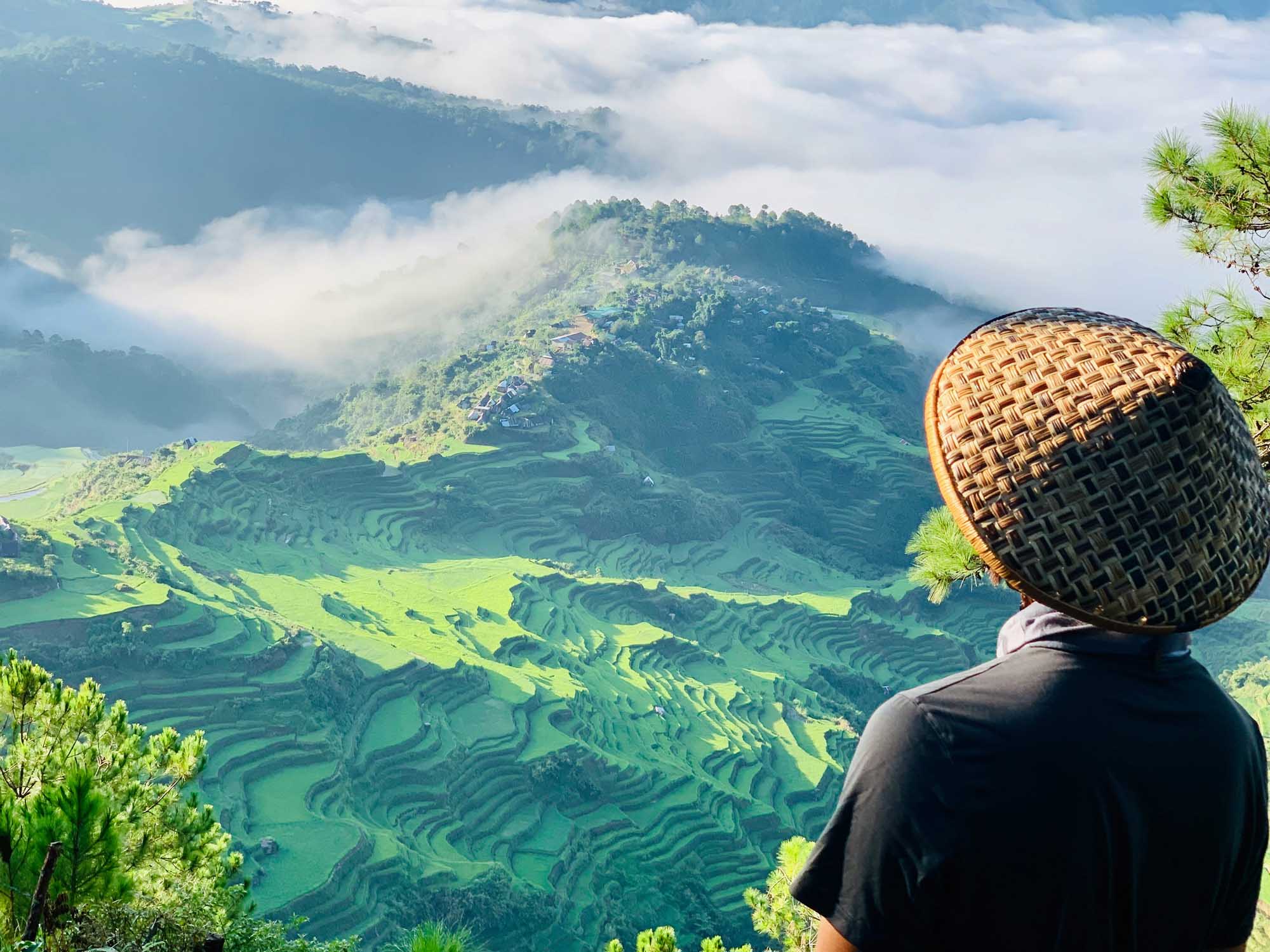 A breathtaking aerial view of lush green rice terraces cascading down the mountainsides of Bontoc