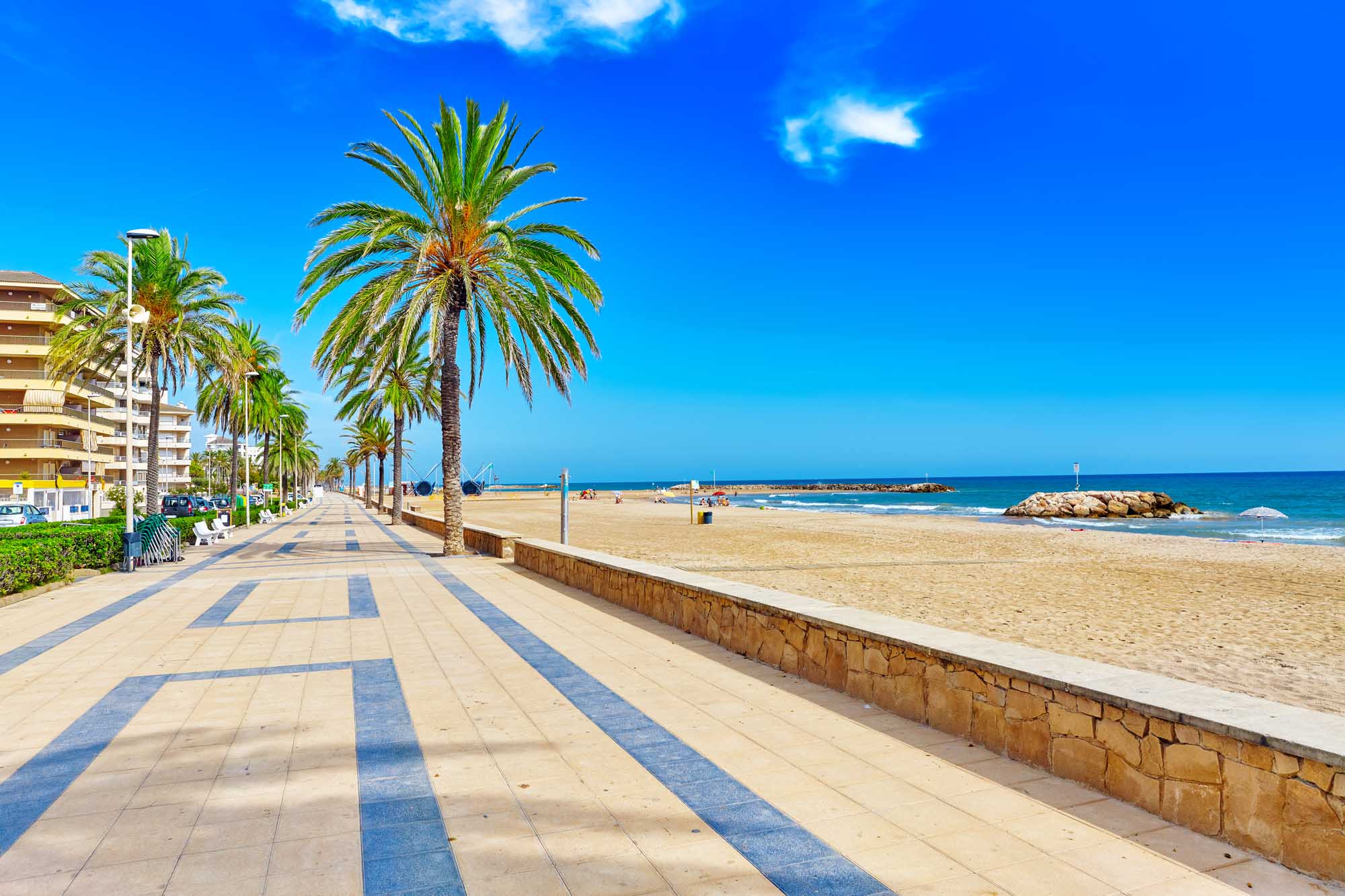 Barcelona beachfront promenade with palm trees and sandy beach along Mediterranean Sea