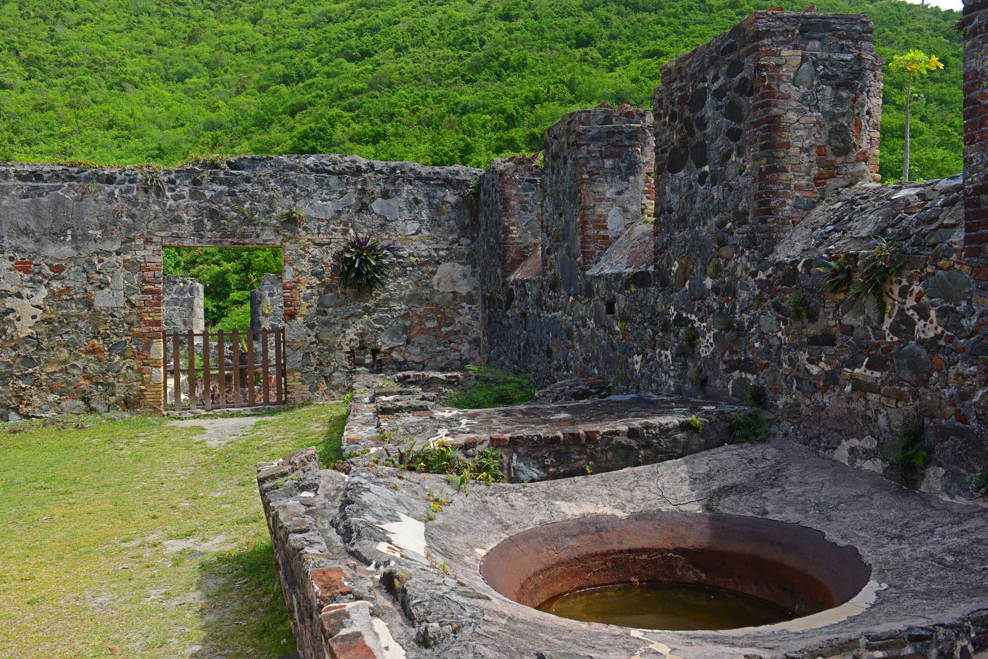 Historic Annaberg Sugar Plantation ruins with stone structures and cistern at Virgin Islands National Park