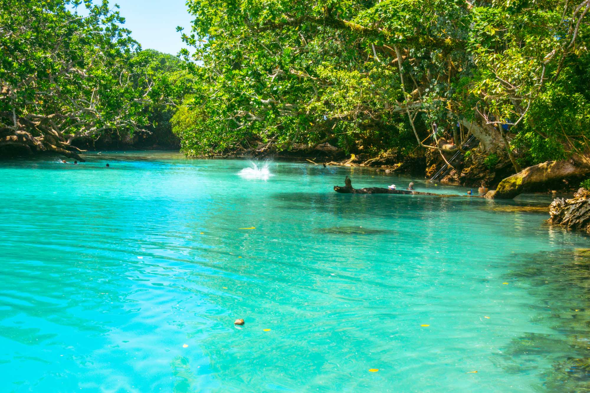 A stunning tropical lagoon with vibrant turquoise waters surrounded by lush green mangrove forests