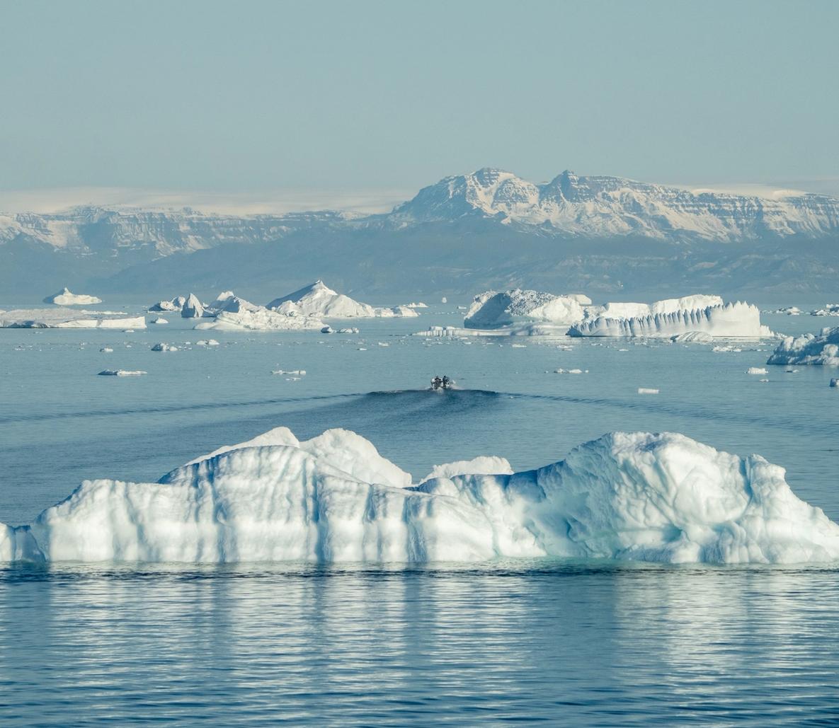 Icebergs floating in calm turquoise Greenlandic Arctic waters with snow-capped mountains