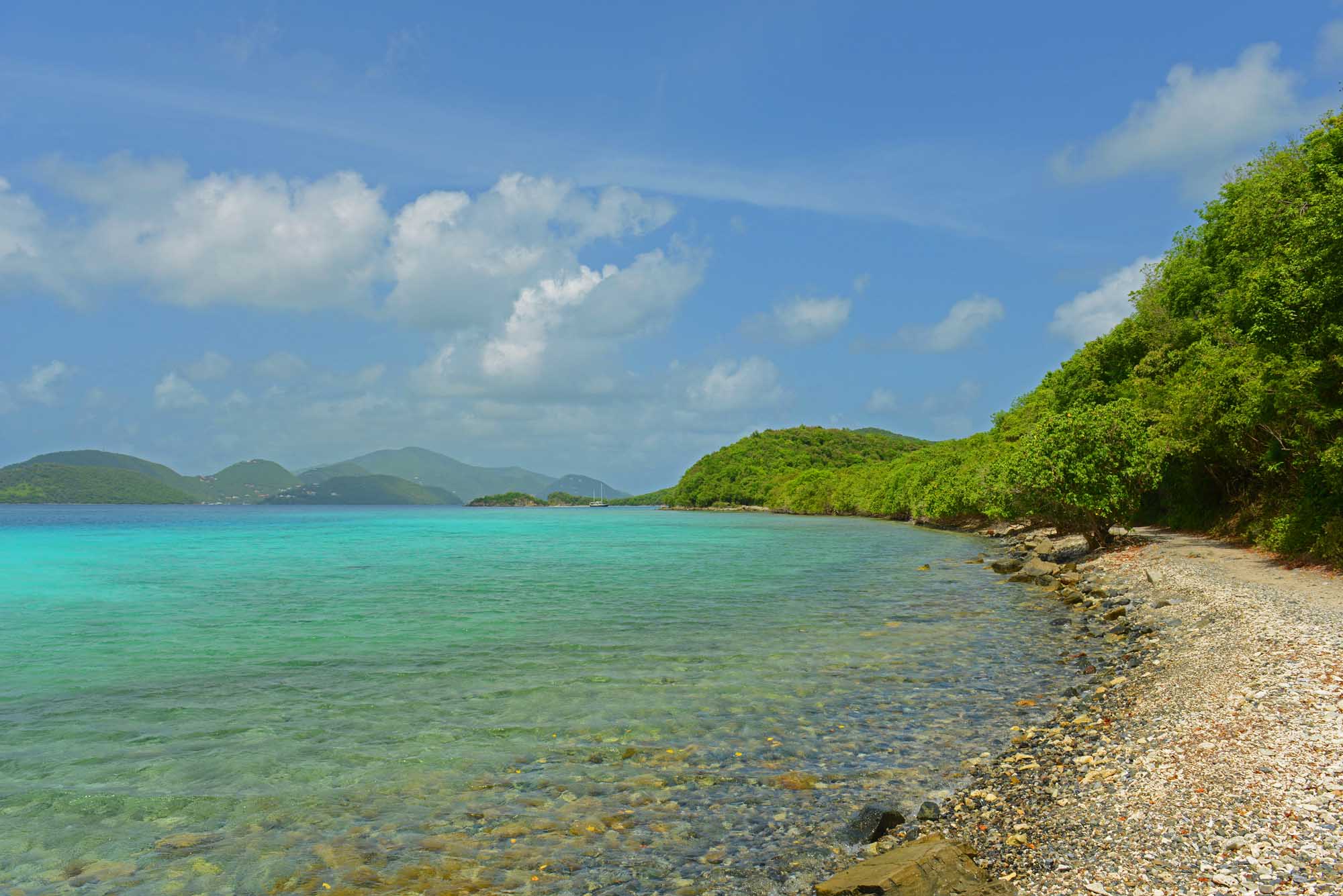 Leinster Bay's crystal-clear turquoise waters meet white sand and dense green mangroves in Virgin Islands National Park