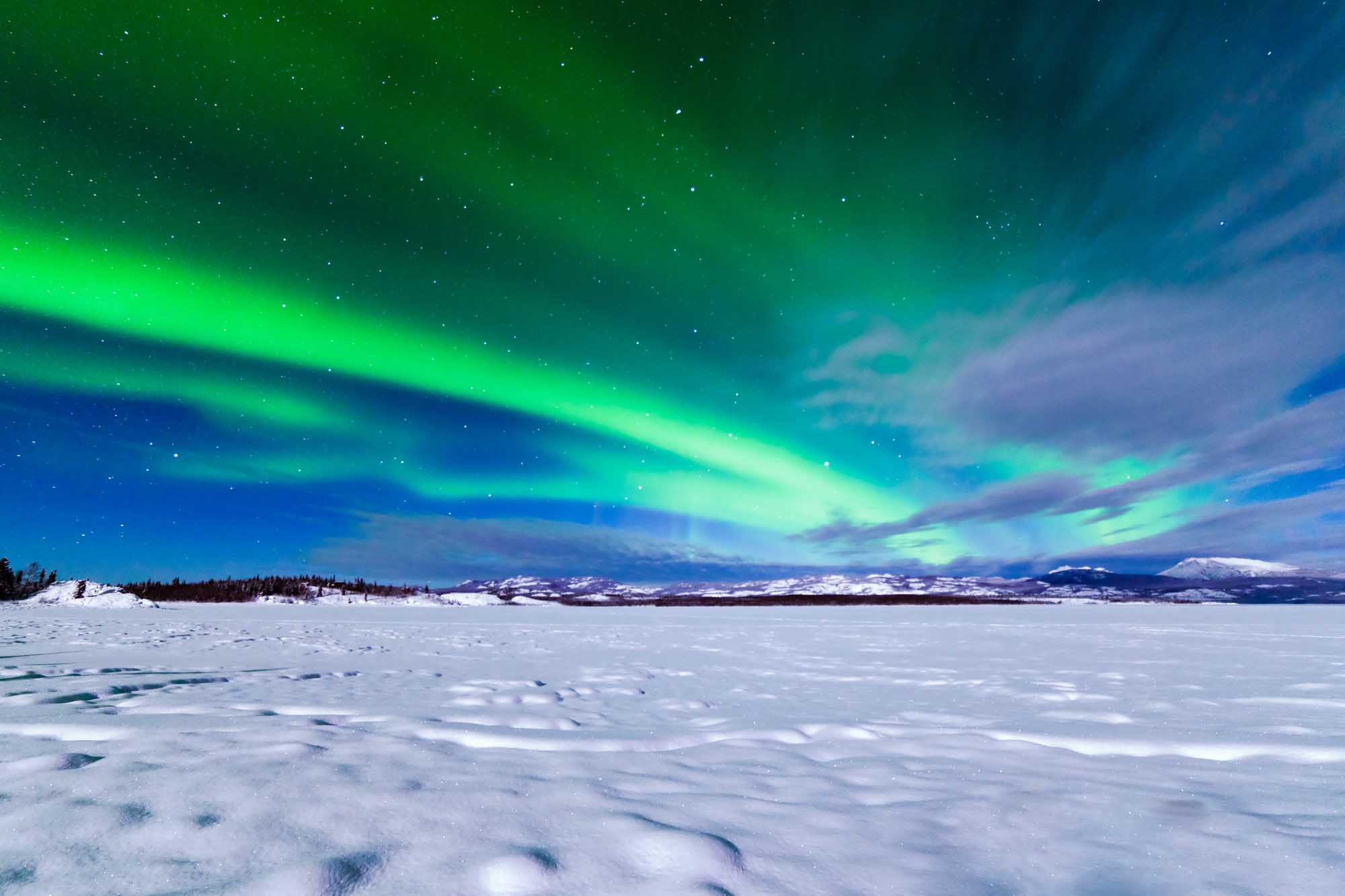 Northern Lights Over Frozen Lake Laberge A spectacular display of the Aurora Borealis illuminates the night sky in brilliant green swirls