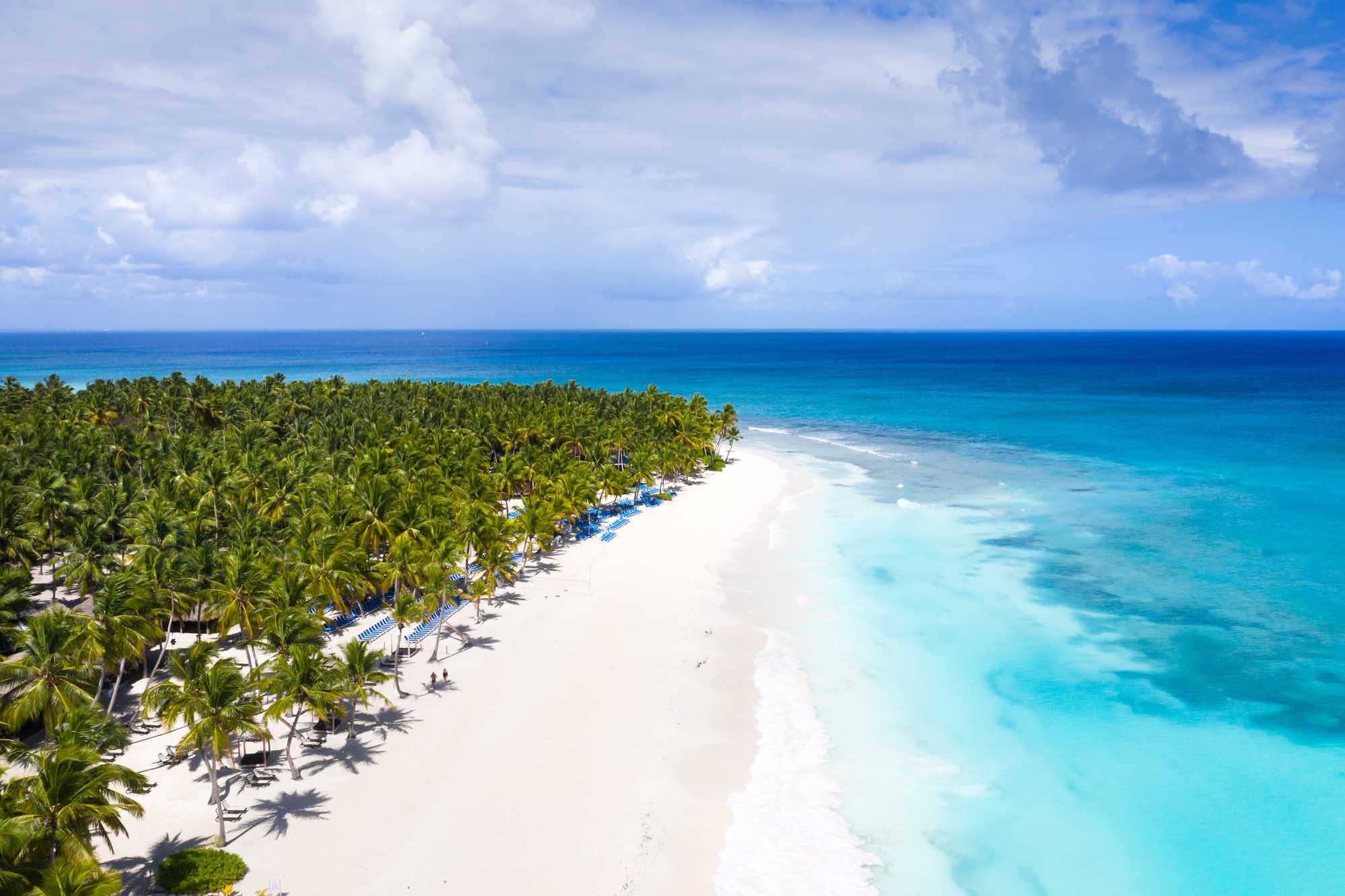 An aerial view of a pristine tropical beach lined with lush coconut palm trees, featuring powdery