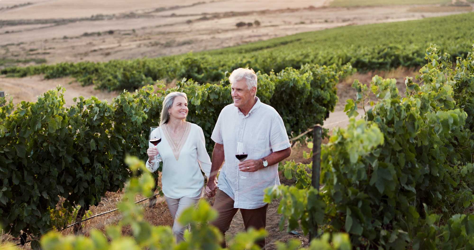 A mature couple strolls hand-in-hand through a lush vineyard, each holding glasses of red wine